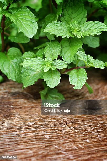 Pepper Mint Leaves Stock Photo - Download Image Now - Aromatherapy, Backgrounds, Cooking