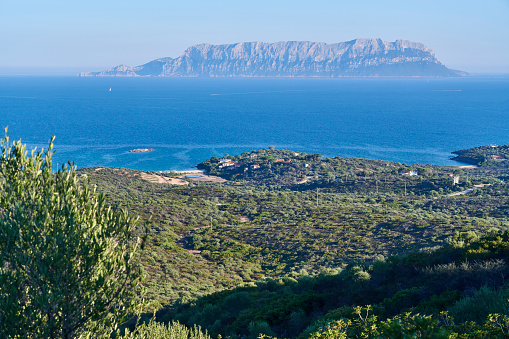 Tavolara island, a popular desitantion for scuba diving. Olbia Municipaility. Sassari province. Sardinia. Italy.