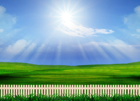 sunny day and green grass field  with wood boundary 