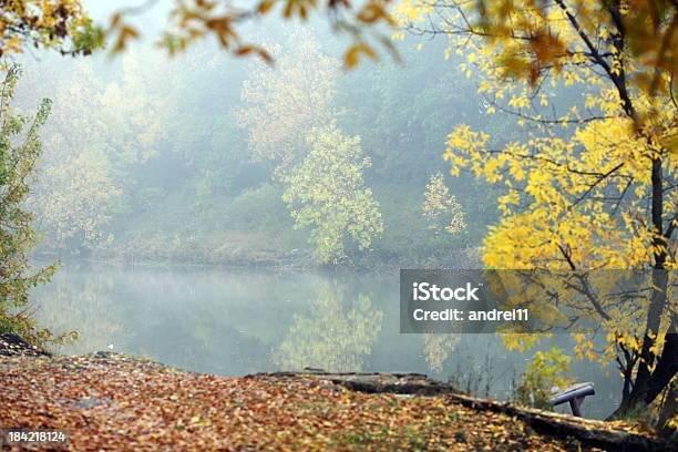 Outono - Fotografias de stock e mais imagens de Ao Ar Livre - Ao Ar Livre, Floresta, Floresta Headwaters