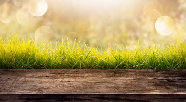 istock Spring Table - wooden table In the morning Garden With Abstract Defocused Lights 1842181846