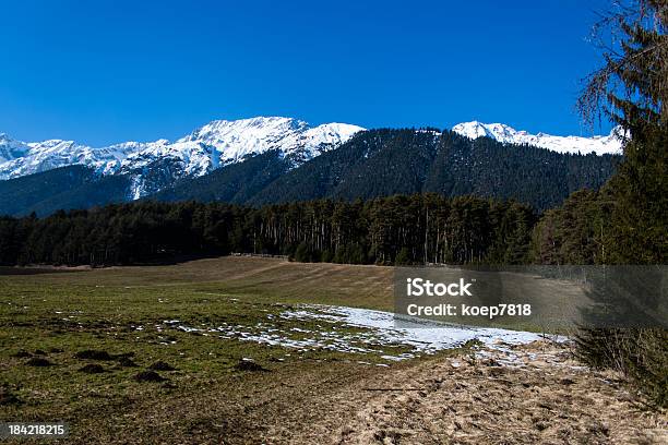 Blick Über Mieminger Plateau In Richtung Wetterstein Mountains Stockfoto und mehr Bilder von Botanik