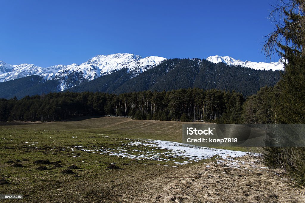 Vue sur le plateau Mieminger en direction de Montagnes Wetterstein - Photo de Autriche libre de droits