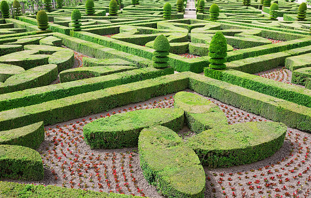 Topiary in the Villandry castle stock photo