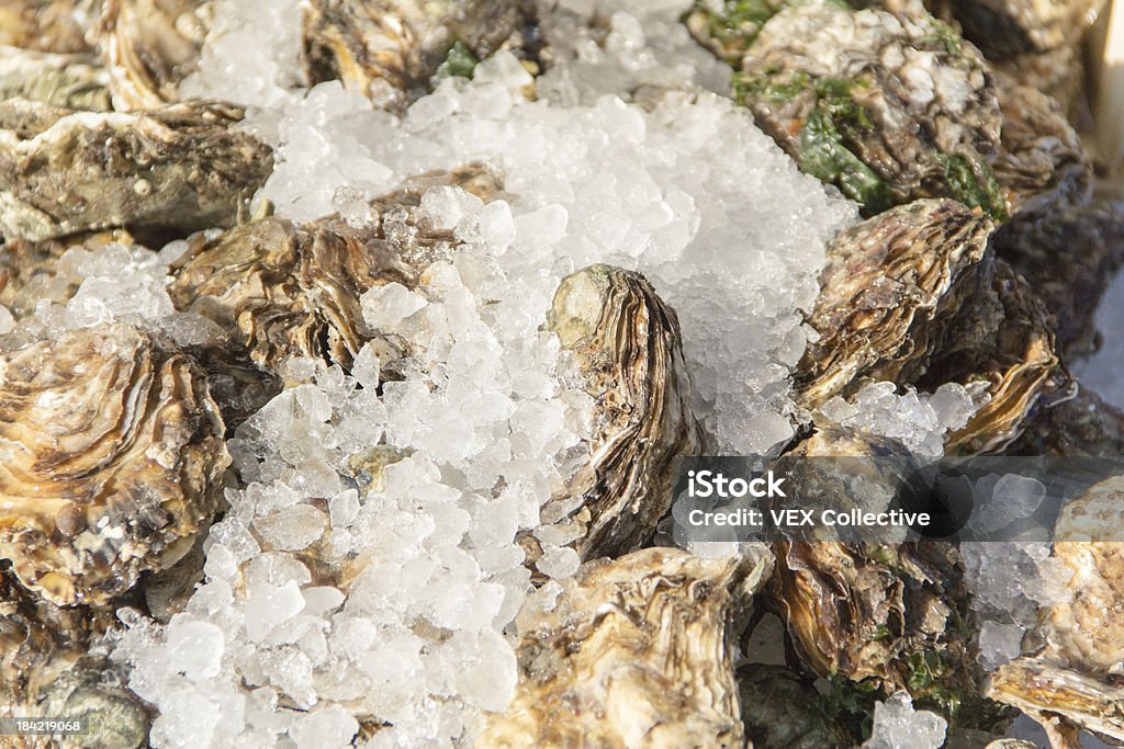 Ostras frescas no gelo, frutos do mar, mariscos - Foto de stock de Abrir em Leque royalty-free