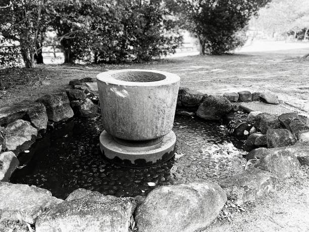 istock Big bowl in the garden 1842191683