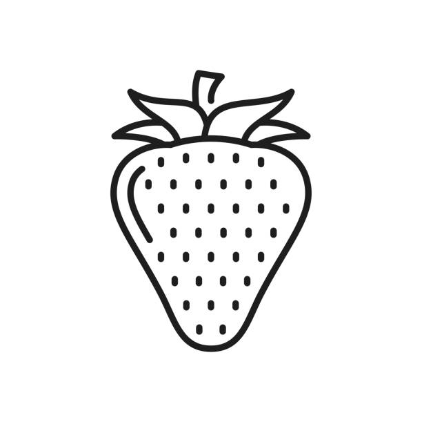 Strawberry ripe organic summer berry food icon Outline strawberry, isolated ripe organic berry. Vector fresh summer fruit, vegetarian food snack. Healthy juicy strawberry with stem entire track stock illustrations