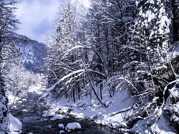 river and forest in winter river and forest in winter (breitachklamm in bavaria) breitachklamm stock pictures, royalty-free photos & images