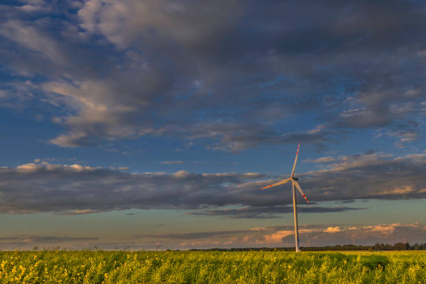 landscape with wind farm, spring time Poland Europe, blue sky with clouds and yellow rape fields