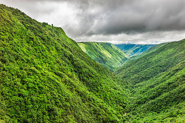 Picturesque elevated view on the gorge and the hills of Costa Rica in Alajuela province