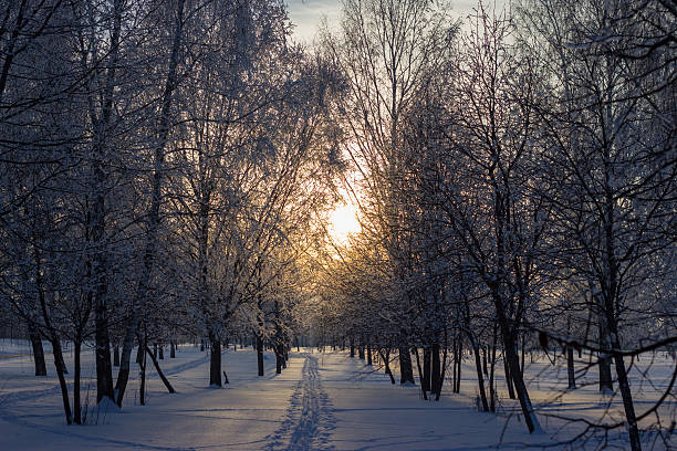 istock Sunset in the winter park. 184228952