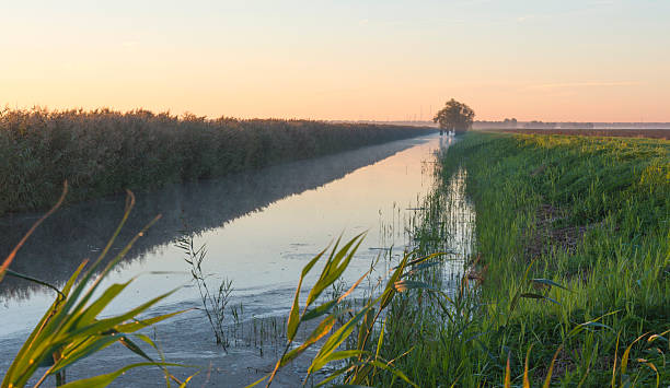 istock Canal through the countryside at dawn 184230245