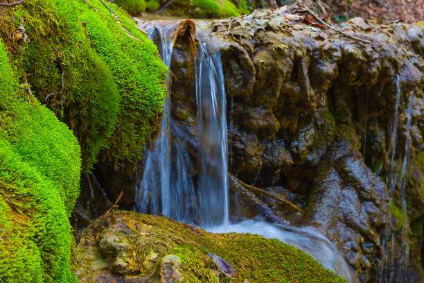 istock small brook rushing over the stones 1842315591