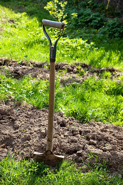 istock shovel in the ground 184232773