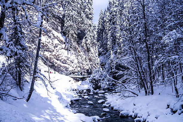 breitachklamm alps a river and trees (breitachklamm in bavaria in winter) breitachklamm stock pictures, royalty-free photos & images