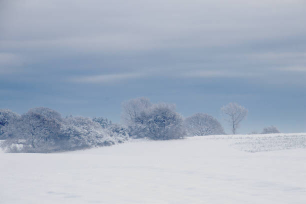istock Misty cold day with snow 1842330602