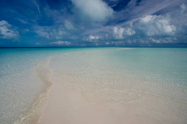 istock White sand turquoise water blue sky and clouds in Eleuthera Bahamas 1842332290