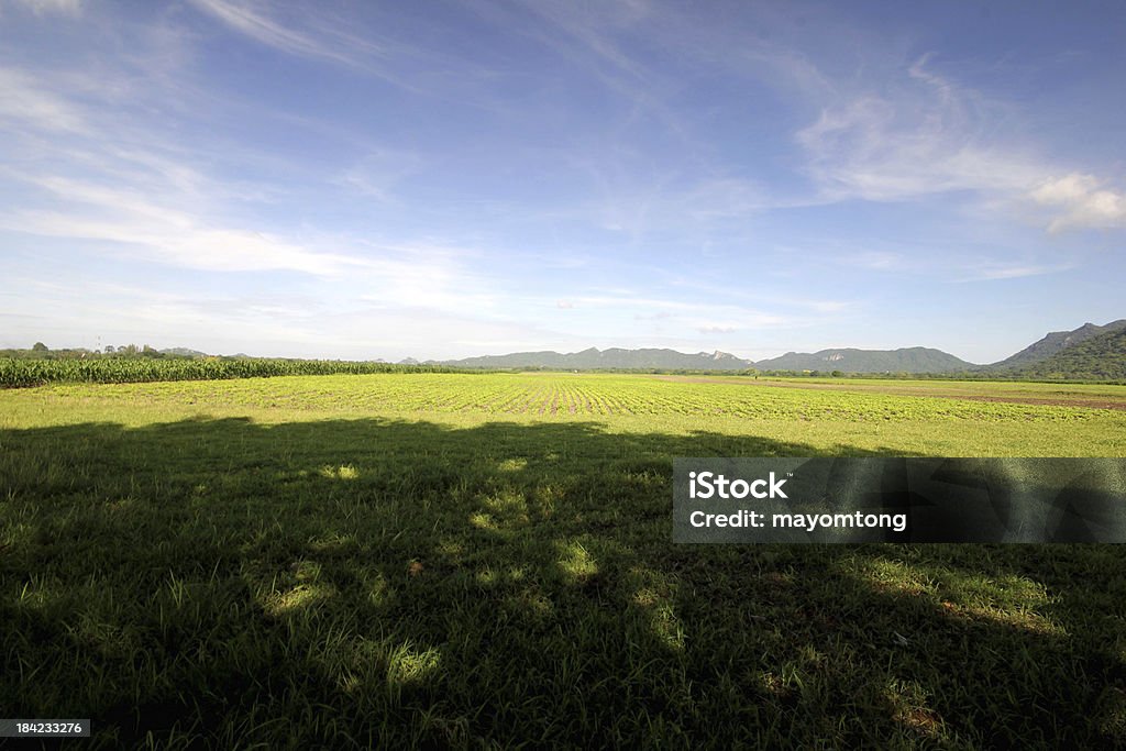 Paisagem da Agricultura. - Royalty-free Agricultura Foto de stock