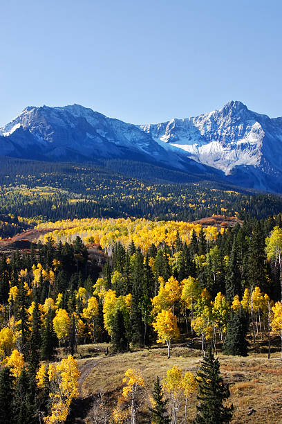 istock Dallas Divide, Uncompahgre National Forest, Colorado 184235823