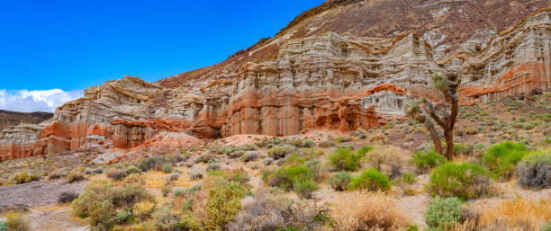 istock Red Rock Canyon State Park, California 1842377326