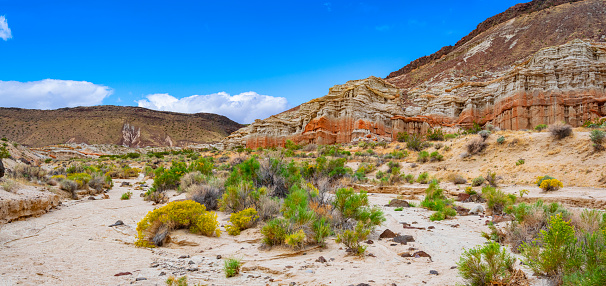 Red Rock Canyon State Park, California