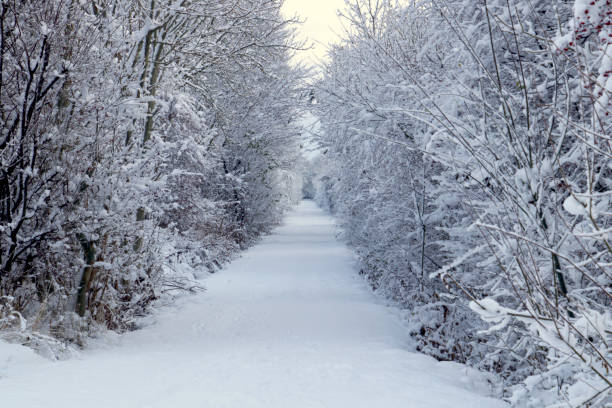 istock What's at the end of the track 1842386434