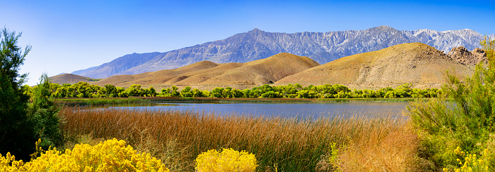 Diaz Lake along the Scenic Byway 395 near Lone Pine, California, in Summer with Alabama Hills and Sierra Nevada in the background