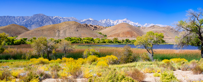 Diaz Lake along the Scenic Byway 395 near Lone Pine, California, in Summer with Alabama Hills and Sierra Nevada in the background
