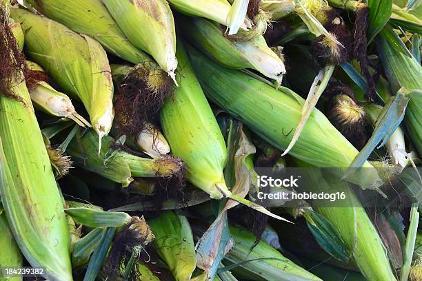 Świeże Kolba Kukurydzy - zdjęcia stockowe i więcej obrazów Bez ludzi - Bez ludzi, Dieta, Dojrzały