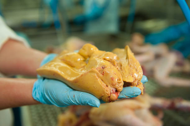 Foie Gras Foie Gras Is The Liver Of An Overfed Duck. This Picture Was Taken Inside A Food Industry In Indaial, Santa Catarina, Brazil foie gras stock pictures, royalty-free photos & images