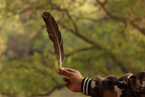 A Big Black Feather of Crow in the hand of an indian Boy with bokeh background selective focus
