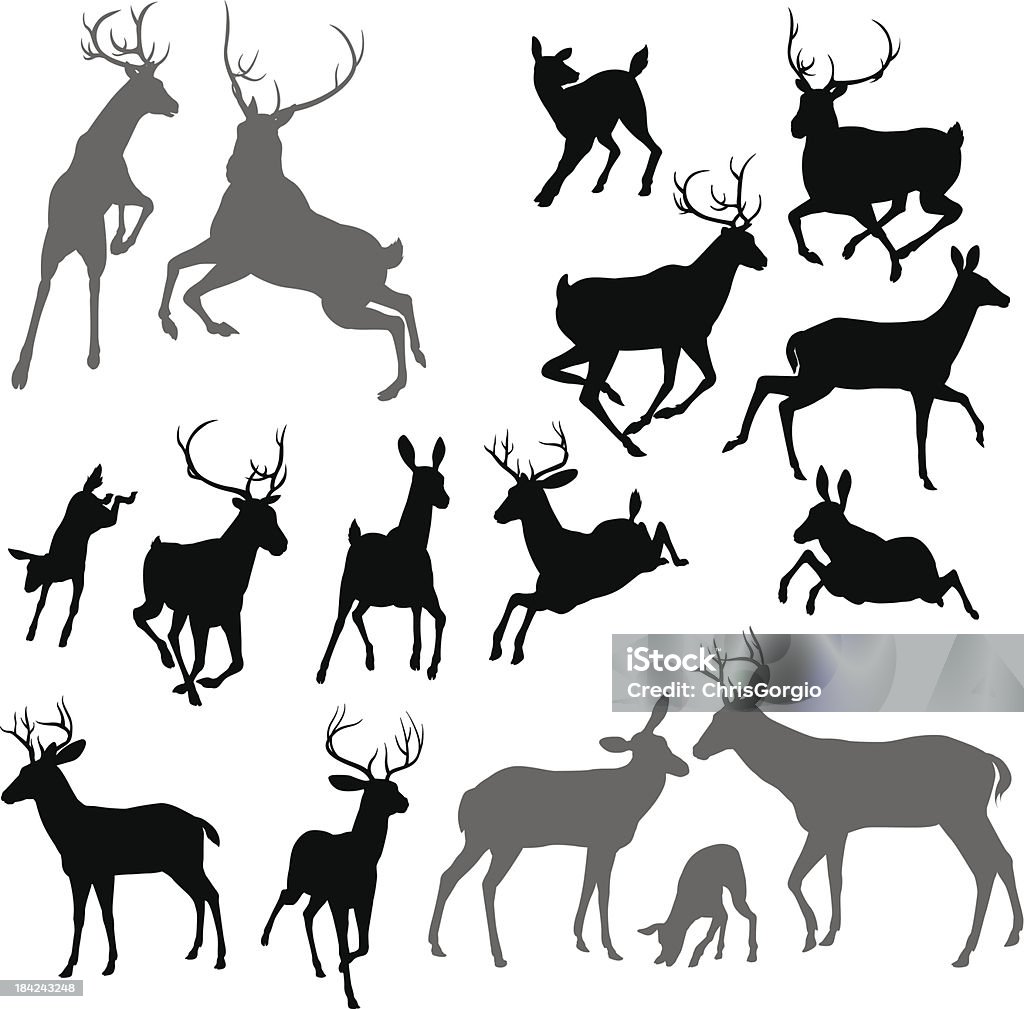 Deer animal silhouettes Silhouette Deer including fawn, doe bucks and stag. Also two stags fighting ans a family group set Deer stock vector