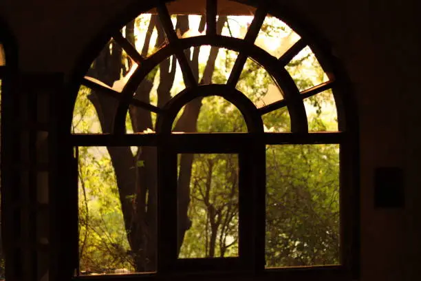 Photo of A Silhouette shot of an arched arc window with green plants behind