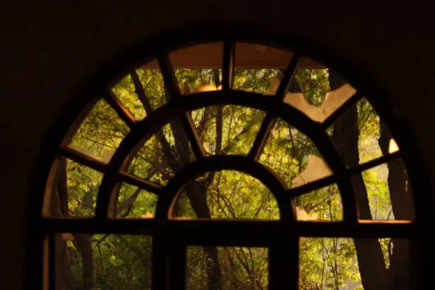 Photo of Closeup of A Silhouette shot of an arched arc window with green plants behind