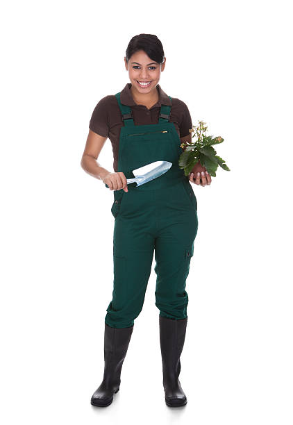 istock Young Female Gardner With Gardening Tools 184246534