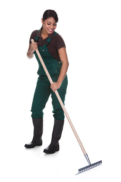 istock Young Female Gardner With Gardening Tools 184246557