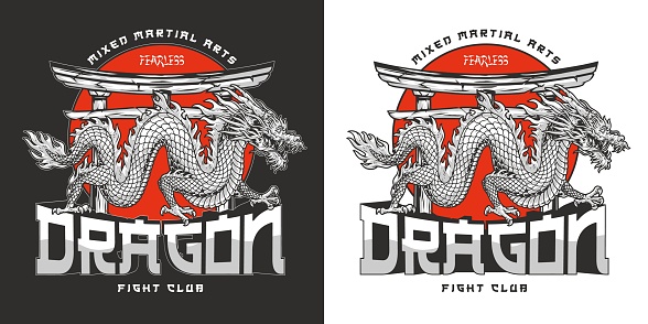Dragon fight club colorful poster