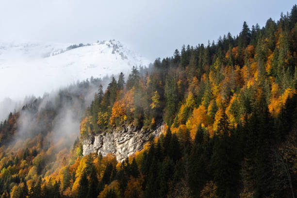 istock Autumn colours Haute Savoie 1842472718