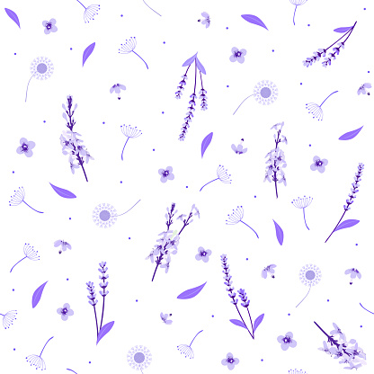 Lavender and dandelion floral print in toile style. vintage flower seamless pattern. ditsy botanical garden. good for fabric, fashion design, summer vintage dress, wallpaper, textile, pajama, background.