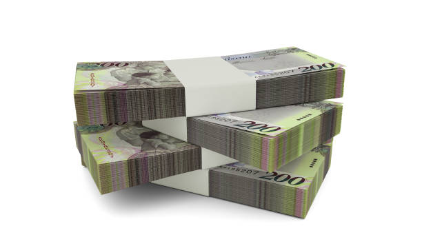 istock 3d rendering of Stack of Botswanan Pula notes. Few bundles of Botswanan currency isolated on white background 1842493742