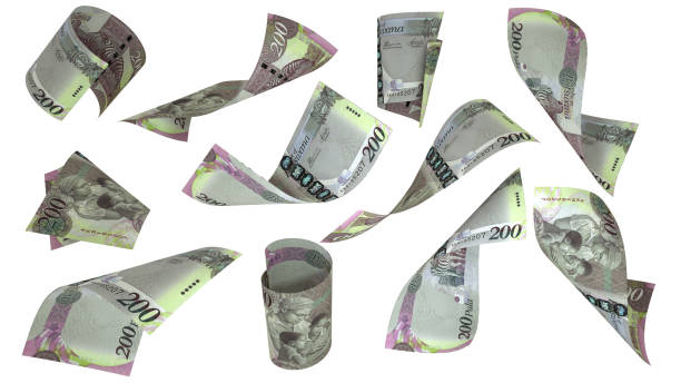 istock 3D rendering of set of Botswanan pula notes flying in different angles and orientations isolated on white background 1842569020