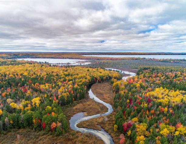 Cut River Winding Through Autumn Colors. Roscommon, Michigan