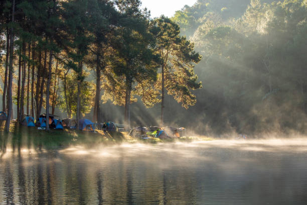 istock Morning sunlight shine through pine forest into Pang Ung lake 1842597931