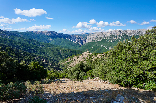 The canyon of Gorropu, one of the deepest and most spectacular canyon in Europe. Urzulei Municipality. Province of Nuoro. Sardinia. Italy.