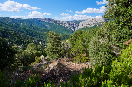 The canyon of Gorropu, one of the deepest and most spectacular canyon in Europe. Urzulei Municipality. Province of Nuoro. Sardinia. Italy.