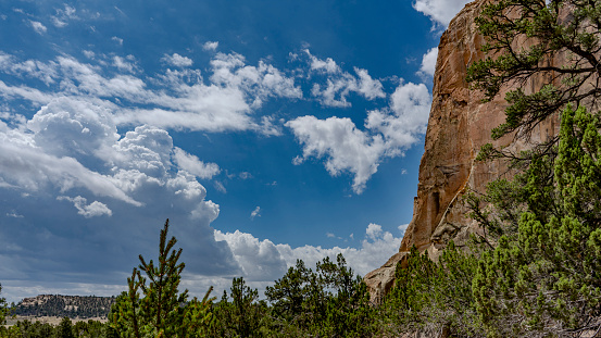 Gorgeous white sand stone rock face of the interesting El Morro National Monument