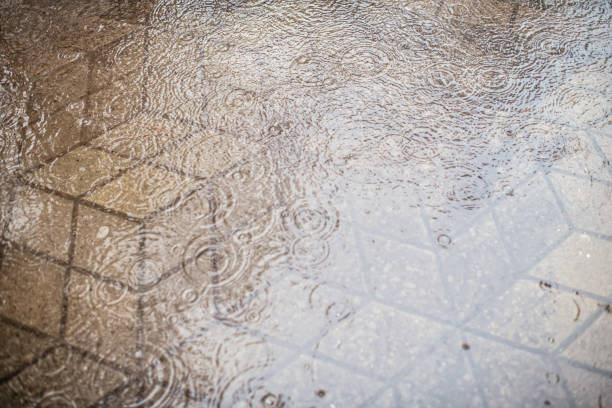 Raindrops on puddles on a city street