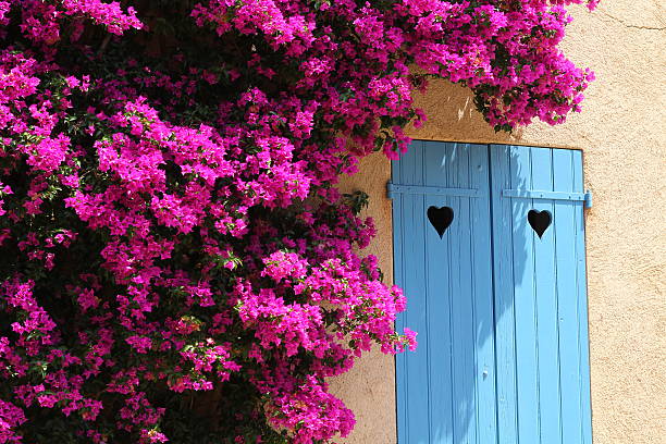 Saint-Goustan in Brittany, in the Morbihan, traditional house in the village