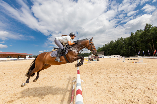 An experienced female show jumper is crossing the hurdle on a sunny summer day during a show jumping workshop at the Ranshofen Horse Riding Arena at Upper Austria.
Canon EOS 5D Mark IV, 1/1600, f/8, 14 mm.