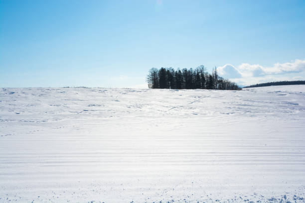 istock Winter hills and blue sky 1842654484